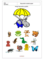 okul öncesi çocuklar için uçan hayvanlar çalışmaları